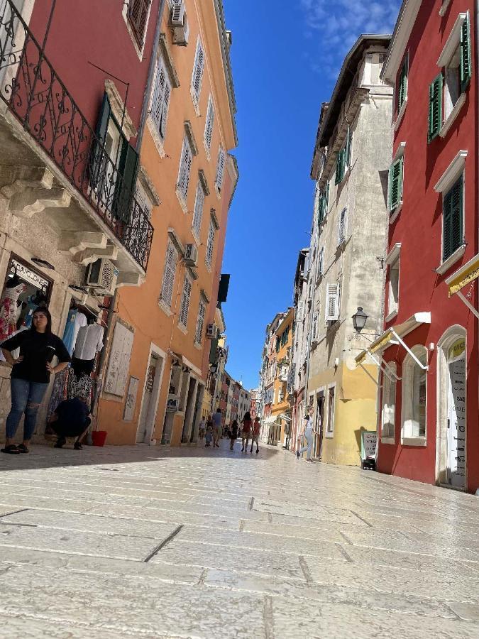 Apartament Clorinda Sea View Free Parking Rovinj Zewnętrze zdjęcie